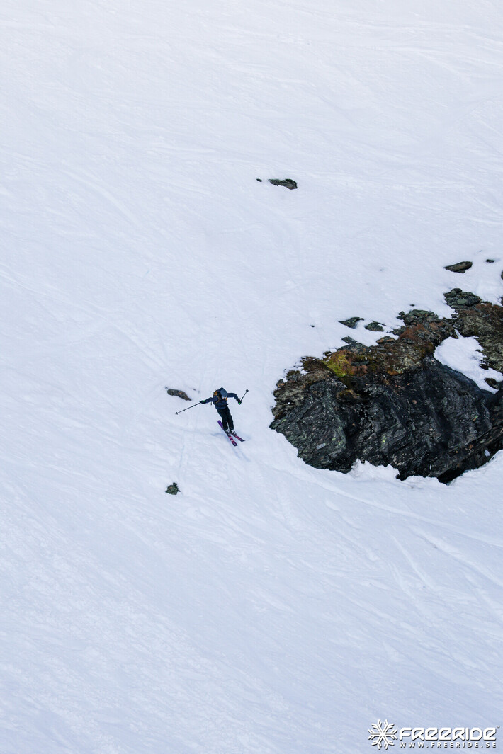 Bild från Ride the Cow 2026