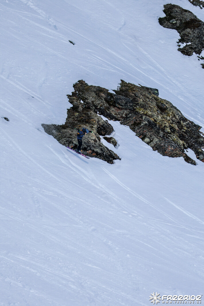 Bild från Ride the Cow 2026