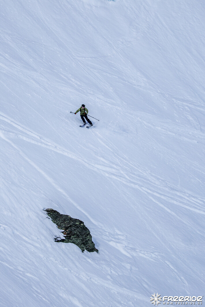 Bild från Ride the Cow 2026