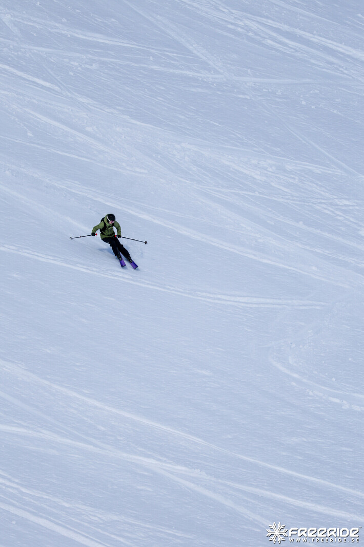 Bild från Ride the Cow 2026