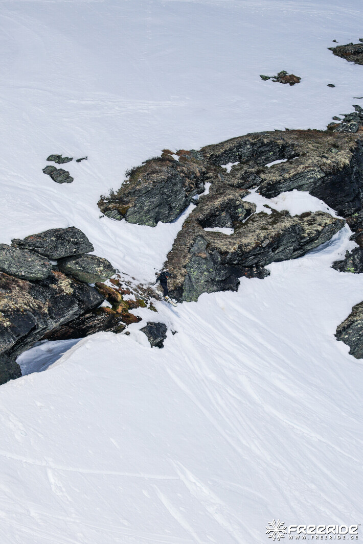 Bild från Ride the Cow 2026