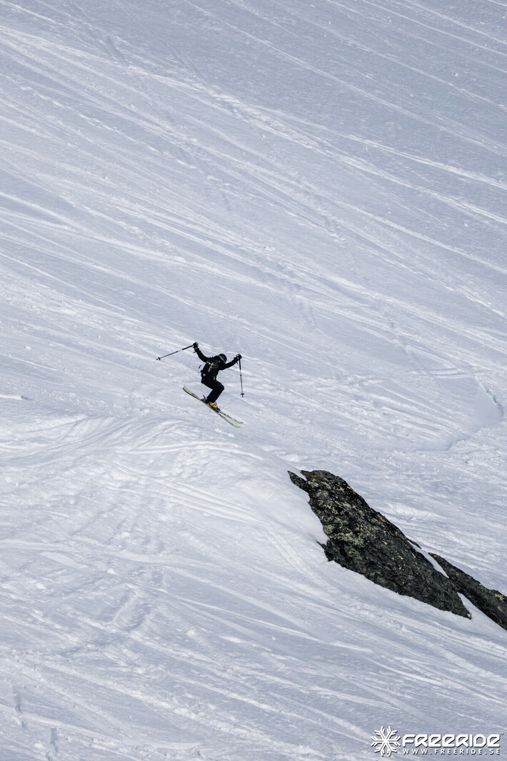 Bild från Ride the Cow 2026