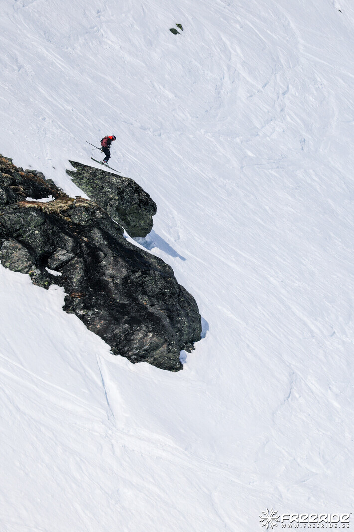 Bild från Ride the Cow 2026