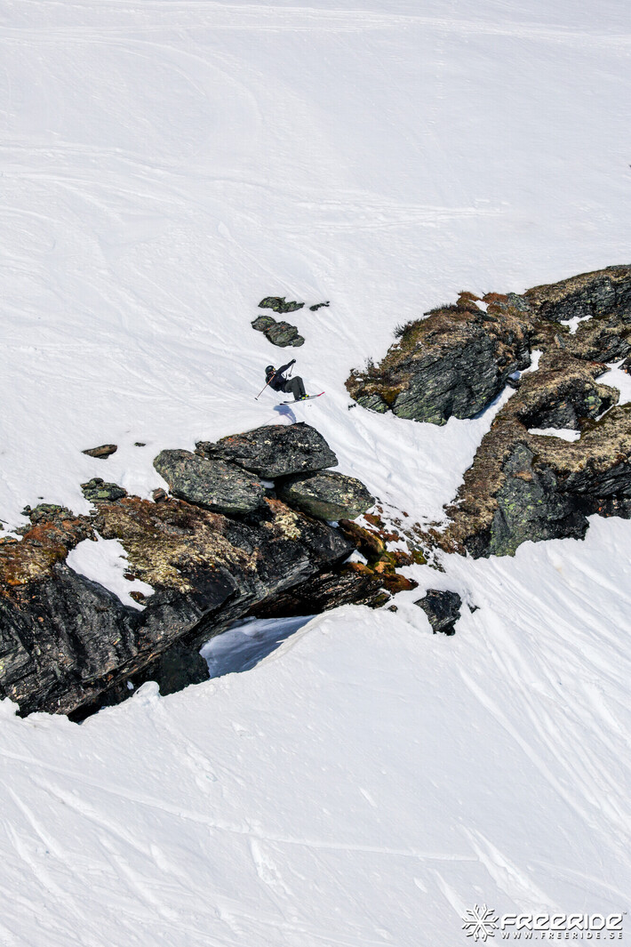 Bild från Ride the Cow 2026