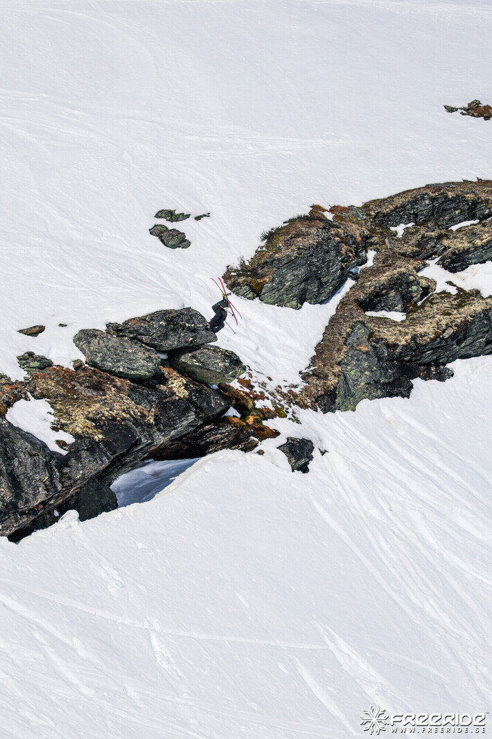 Bild från Ride the Cow 2026