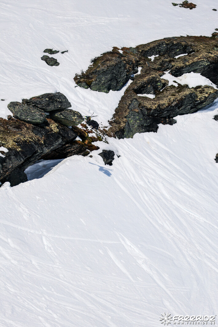 Bild från Ride the Cow 2026