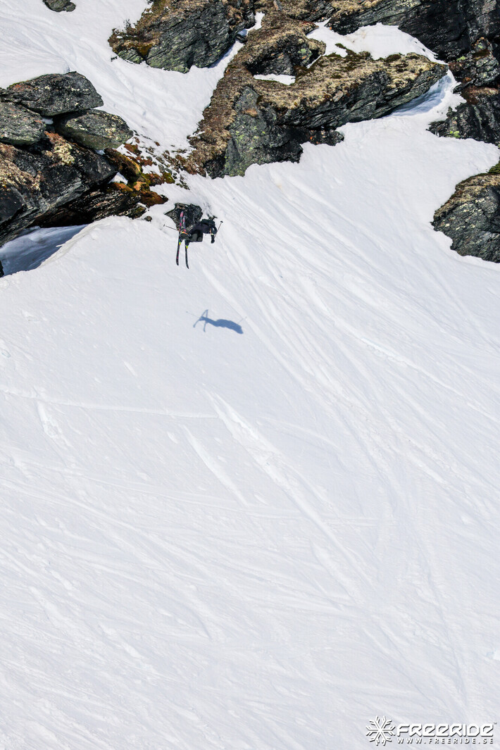 Bild från Ride the Cow 2026