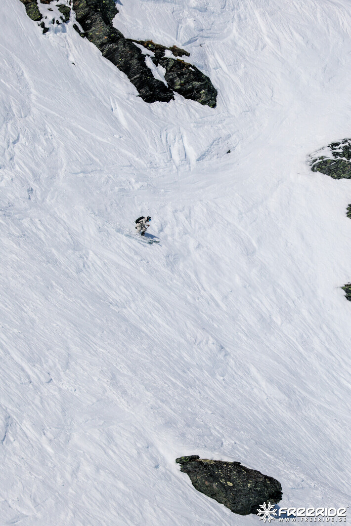 Bild från Ride the Cow 2026