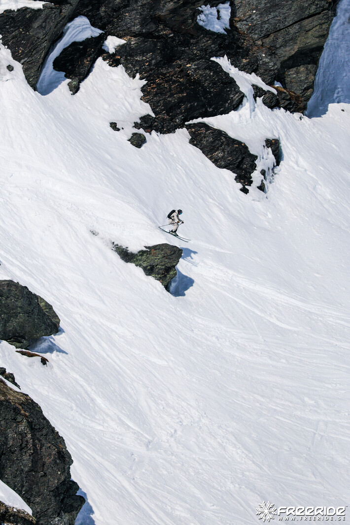 Bild från Ride the Cow 2026