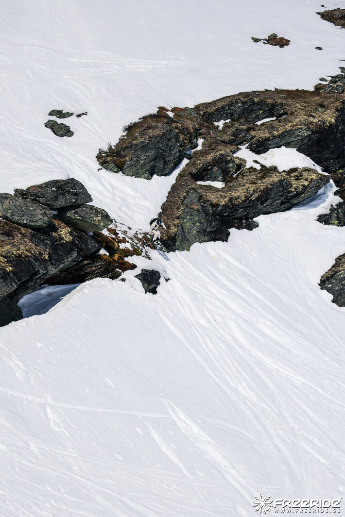 Bild från Ride the Cow 2026