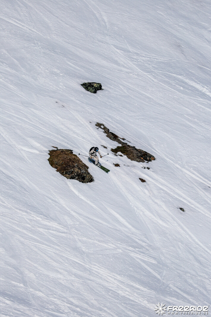 Bild från Ride the Cow 2026