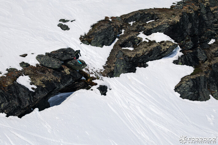 Bild från Ride the Cow 2026