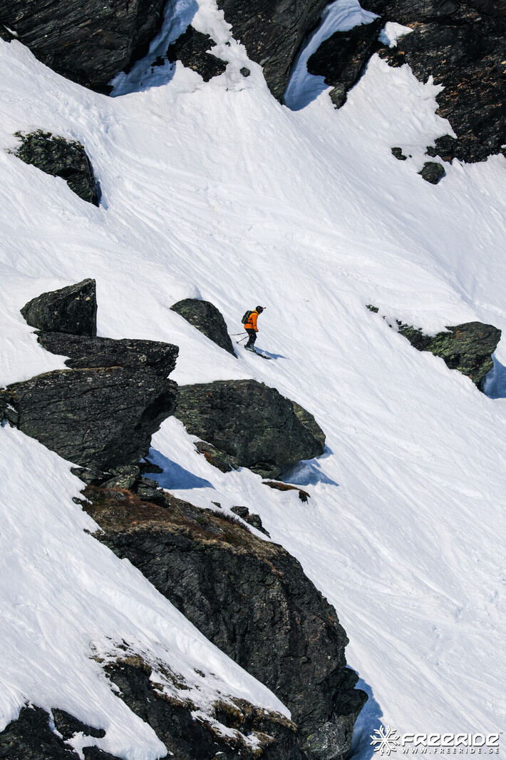 Bild från Ride the Cow 2026