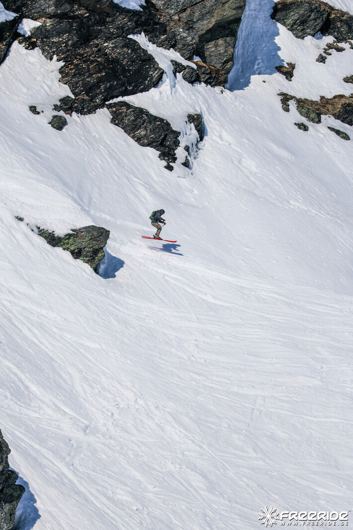 Bild från Ride the Cow 2026