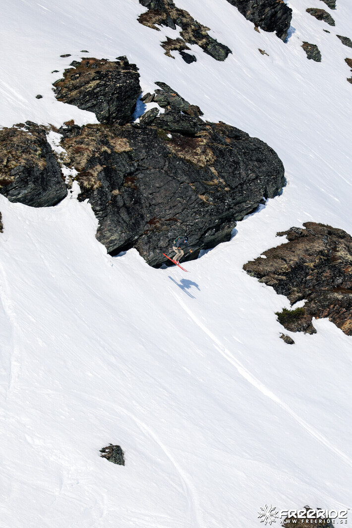 Bild från Ride the Cow 2026