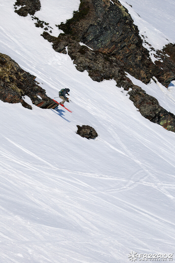 Bild från Ride the Cow 2026