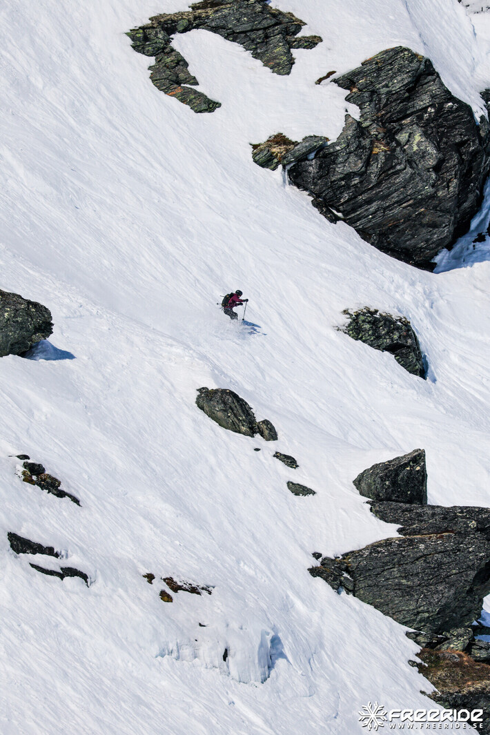 Bild från Ride the Cow 2026