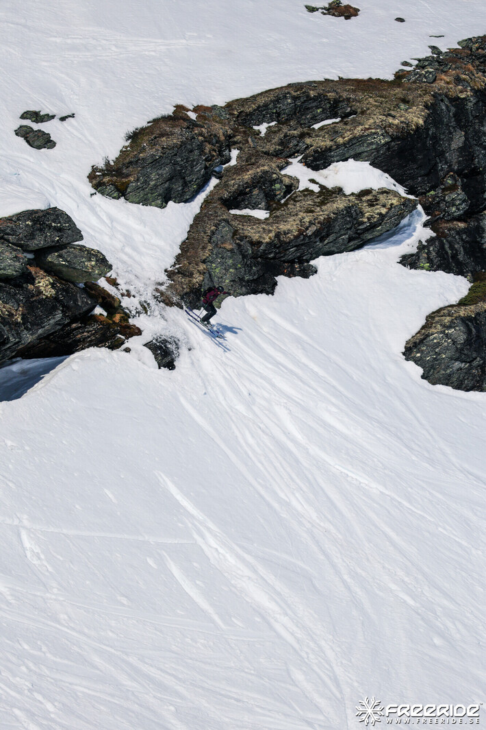 Bild från Ride the Cow 2026