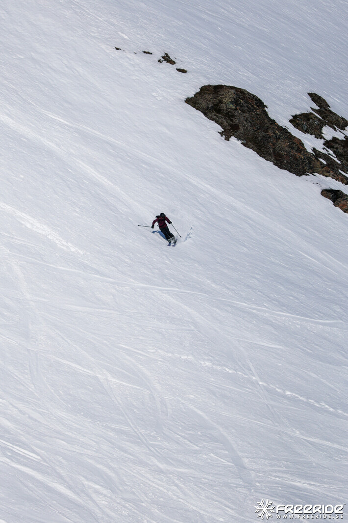 Bild från Ride the Cow 2026