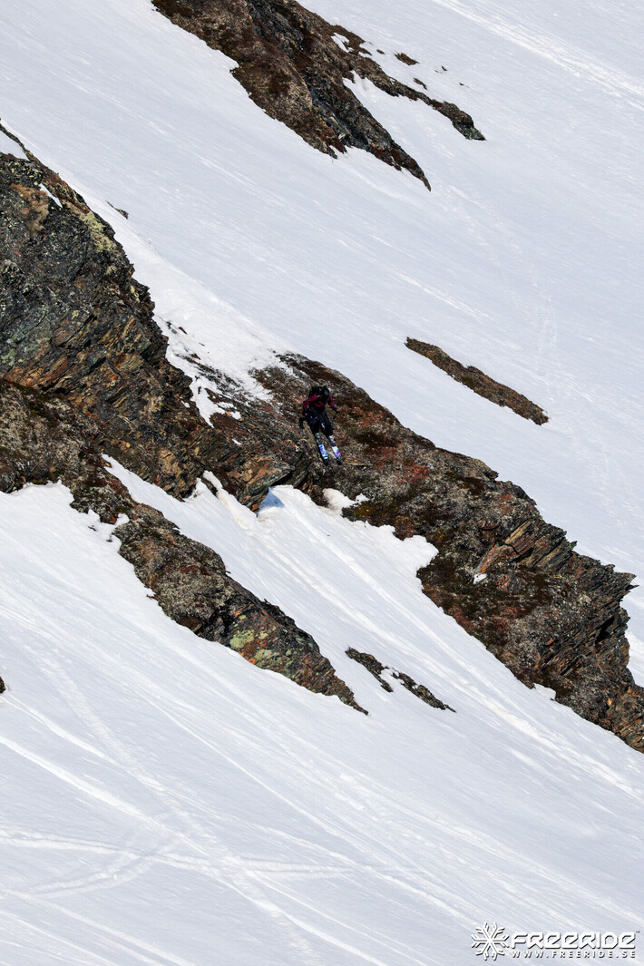 Bild från Ride the Cow 2026