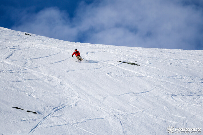 Bild från Ride the Cow 2026