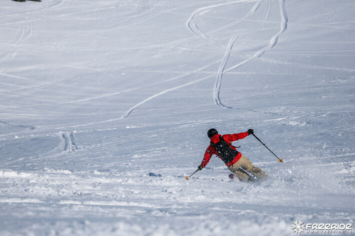 Bild från Ride the Cow 2026