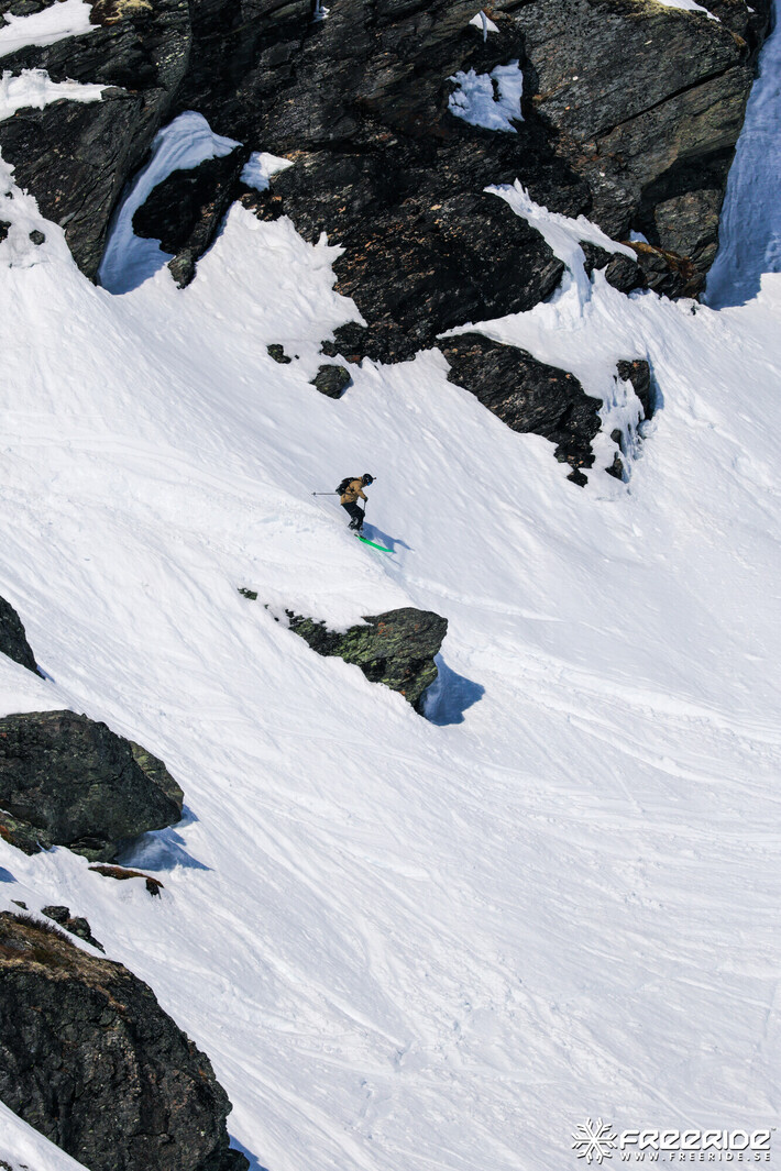 Bild från Ride the Cow 2026