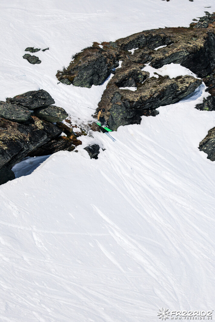 Bild från Ride the Cow 2026