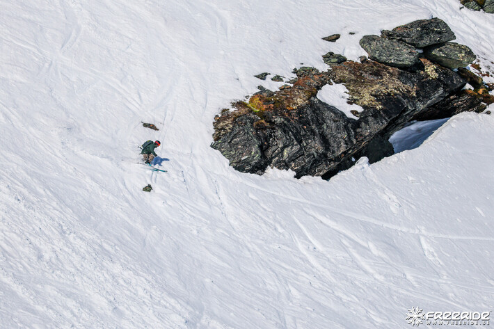 Bild från Ride the Cow 2026