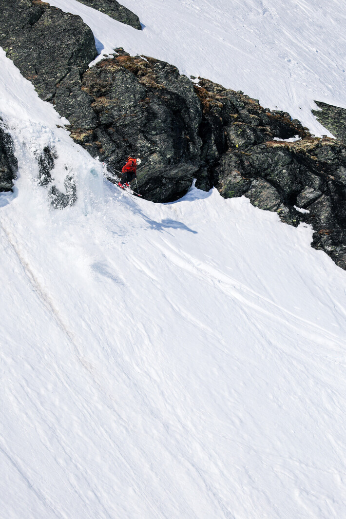 Bild från Ride the Cow 2026