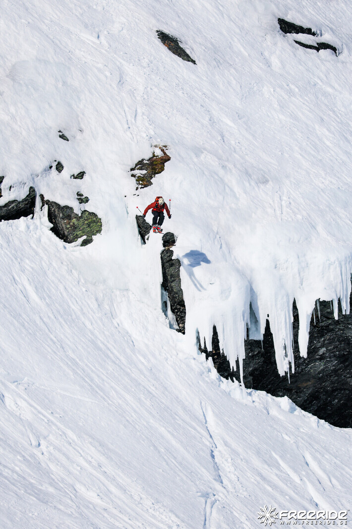 Bild från Ride the Cow 2026