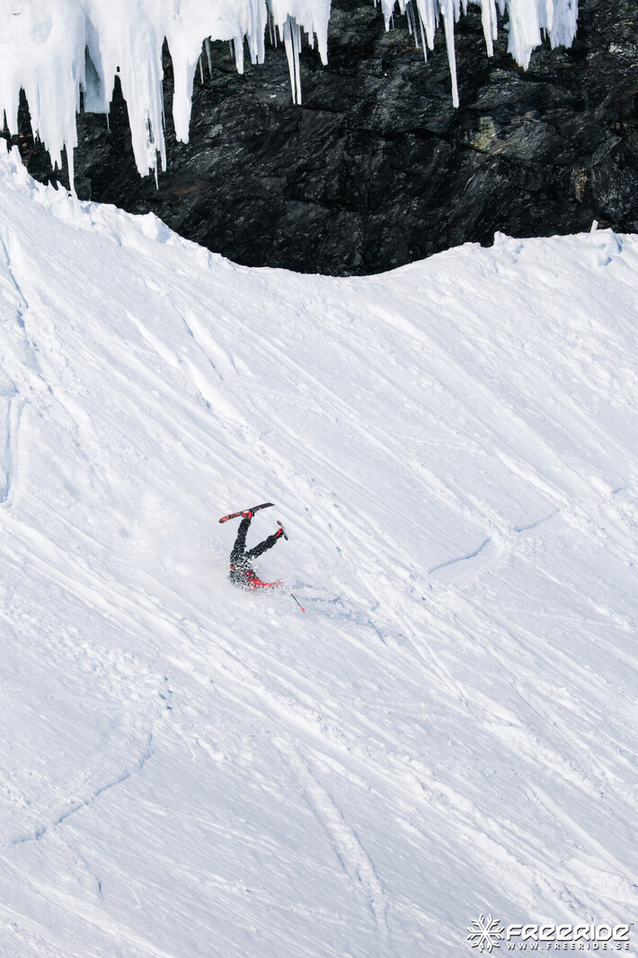 Bild från Ride the Cow 2026