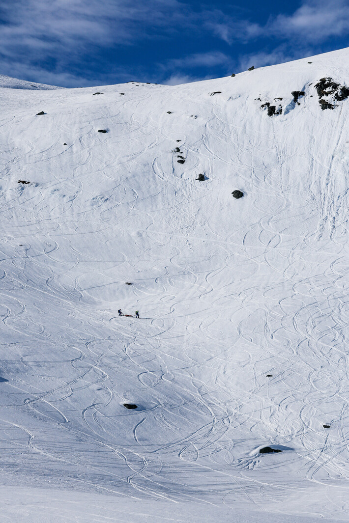 Bild från Ride the Cow 2026