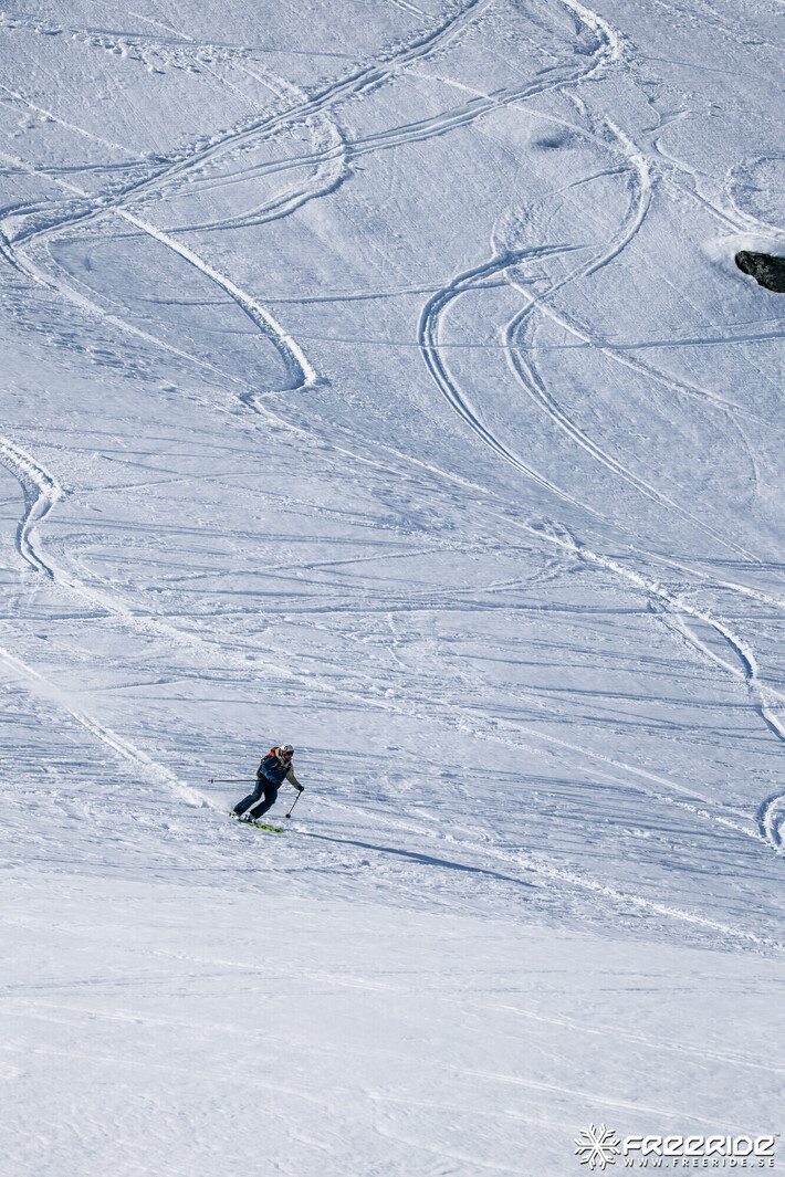 Bild från Ride the Cow 2026