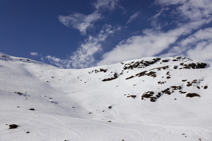 Bild från Ride the Cow 2026