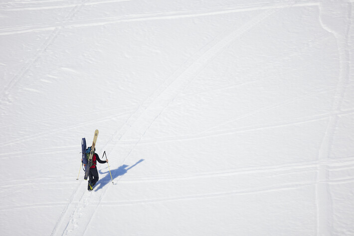 Bild från Ride the Cow 2026