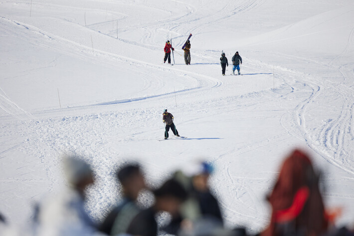 Bild från Ride the Cow 2026